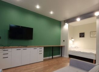 Аренда квартиры студии, 32 м2, Мурманск, улица Шмидта, 45