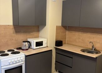 Сдача в аренду 1-ком. квартиры, 34 м2, посёлок Парголово, улица Фёдора Абрамова, 4