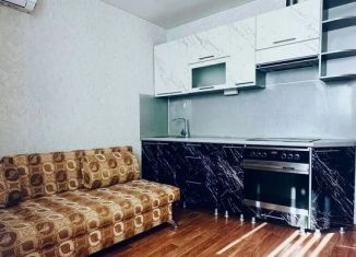 Сдается 1-ком. квартира, 47 м2, Краснодар, улица Героя А.А. Аверкиева, 20, микрорайон Восточно-Кругликовский