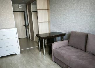 Аренда квартиры студии, 25 м2, Тюмень, улица Тимофея Чаркова, 28, ЖК Новый Мыс 3.0