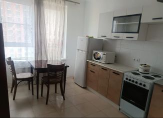 Сдам в аренду 2-ком. квартиру, 60 м2, Москва, улица Михайлова, 30Ак1, ЮВАО