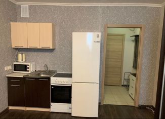 Сдаю в аренду 1-комнатную квартиру, 22.5 м2, Новосибирск, улица Виктора Уса, 7