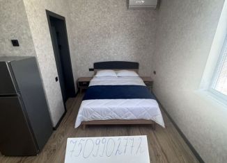 Аренда квартиры студии, 23 м2, Сочи, Орбитовская улица, 12, микрорайон Энергетик-Изумруд