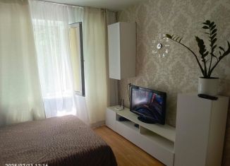 Сдаю однокомнатную квартиру, 25 м2, Анапа, проезд Космонавтов, 34