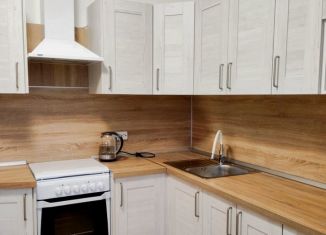 Сдача в аренду 1-ком. квартиры, 37 м2, Санкт-Петербург, Арцеуловская аллея, 23к1, Приморский район