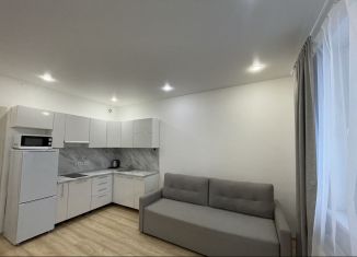 Сдаю в аренду квартиру студию, 24 м2, Санкт-Петербург, Плесецкая улица, метро Комендантский проспект