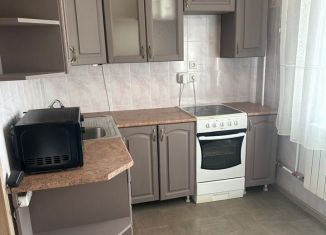 Аренда 1-ком. квартиры, 39.1 м2, Санкт-Петербург, Камышовая улица, 6к1, муниципальный округ № 65