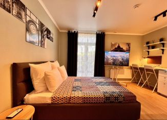 Аренда квартиры студии, 27 м2, Котельники, Сосновая улица, 1к1