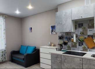 Квартира в аренду студия, 24.2 м2, Калининград, Батальная улица, 100, Московский район