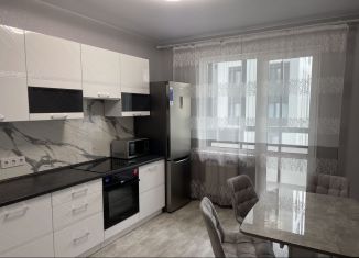 Сдам в аренду 2-комнатную квартиру, 53 м2, Санкт-Петербург, Студенческая улица, 14к2, Приморский район