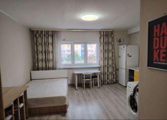 Сдам в аренду квартиру студию, 25.5 м2, Бурятия, 111-й микрорайон, 34