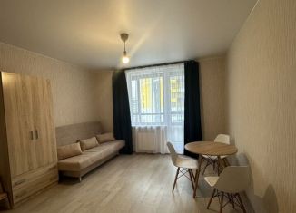 Сдам в аренду квартиру студию, 26 м2, посёлок Шушары, Окуловская улица, 18