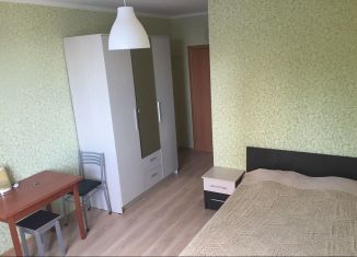 Сдача в аренду квартиры студии, 25 м2, Сочи, улица Цюрупы, 23, микрорайон Новый Сочи