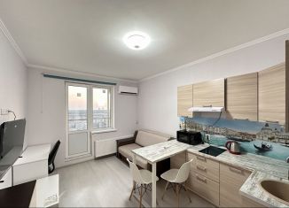 Сдается квартира студия, 21 м2, Санкт-Петербург, Плесецкая улица, 10, Приморский район