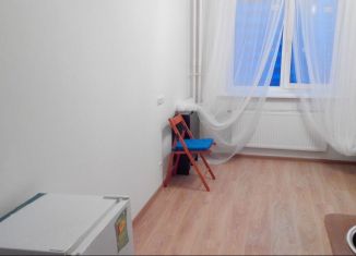 Сдаю в аренду квартиру студию, 16 м2, посёлок Шушары, Окуловская улица, 7к1