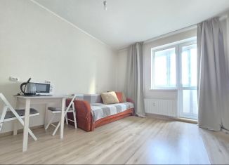 Квартира в аренду студия, 26 м2, Мурино, Охтинская аллея, 4