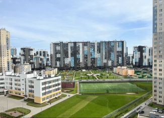 Сдам в аренду квартиру студию, 24.9 м2, Санкт-Петербург, Верхне-Каменская улица, 5, метро Комендантский проспект