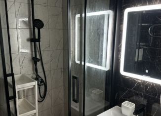 Сдам квартиру студию, 25 м2, Санкт-Петербург, Плесецкая улица, 10, Приморский район