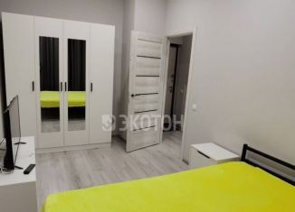 Сдаю однокомнатную квартиру, 30 м2, Мурино, Воронцовский бульвар, 21к3