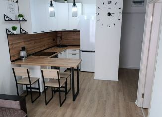 Сдается в аренду 1-ком. квартира, 34 м2, Котельники, микрорайон Парковый, 14