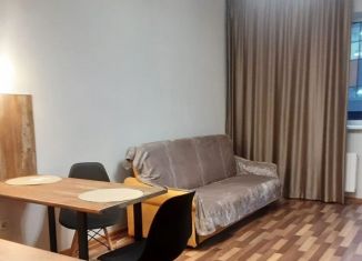 Сдача в аренду квартиры студии, 27 м2, деревня Новое Девяткино, Флотская улица, 9