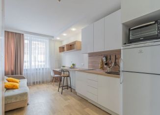 Сдам квартиру студию, 21 м2, Мурино, Екатерининская улица