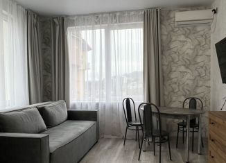 Сдается 2-ком. квартира, 47 м2, Сочи, Виноградная улица, 121/6, микрорайон Новый Сочи