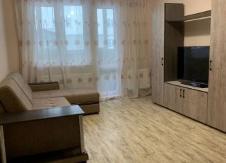 Сдаю 1-ком. квартиру, 40 м2, деревня Куюки, улица 22-й Квартал, 4