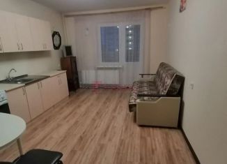 Сдаю квартиру студию, 25 м2, Ростов-на-Дону, улица Тимофеева, 14к1, ЖК Платовский