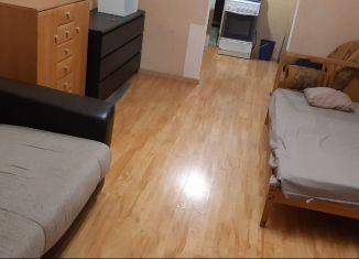 Сдаю квартиру студию, 30 м2, Новосибирск, Нижегородская улица, 24/1, Октябрьский район