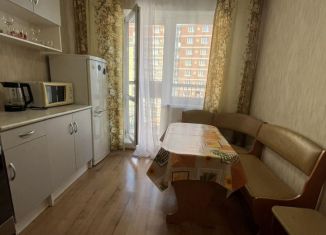 Сдам 1-ком. квартиру, 38 м2, Санкт-Петербург, Советский проспект, 39к1, Невский район