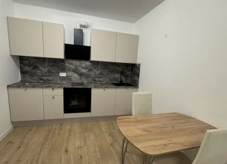 Сдается двухкомнатная квартира, 40 м2, деревня Новое Девяткино, Главная улица, 8, ЖК Заречный Парк