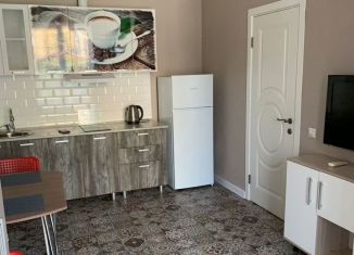 Сдается 1-комнатная квартира, 40 м2, Анапа, улица Шевченко, 20А