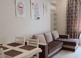 1-ком. квартира в аренду, 45 м2, Сочи, улица Гастелло, 28, микрорайон Голубые Дали