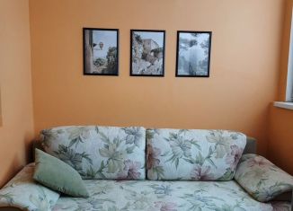 Сдача в аренду 1-комнатной квартиры, 50 м2, Анапа, Крымская улица, 272
