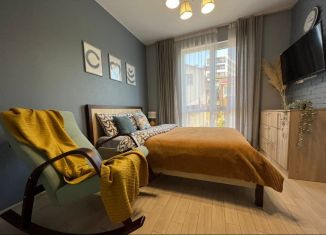 Сдача в аренду 1-комнатной квартиры, 25 м2, Сочи, улица Бытха, 48/4, микрорайон Бытха