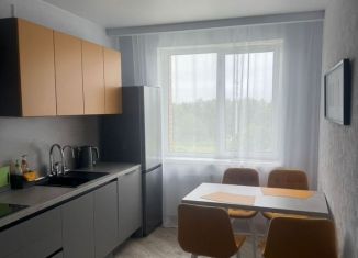 Сдача в аренду однокомнатной квартиры, 35 м2, посёлок Шушары, Сарицкая улица, 9