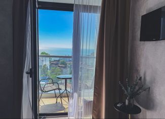 Аренда квартиры студии, 20 м2, Сочи, Ясногорская улица, 16/2к8, микрорайон Бытха