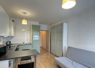 Квартира в аренду студия, 24 м2, Санкт-Петербург, Комендантский проспект, 71, метро Комендантский проспект