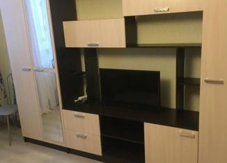 Квартира в аренду студия, 26 м2, городской посёлок Янино-1, Ясная улица, 9