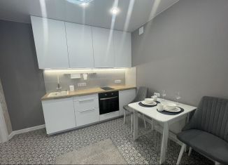 Сдача в аренду однокомнатной квартиры, 35 м2, Краснодар, Московская улица, 158/2, Музыкальный микрорайон