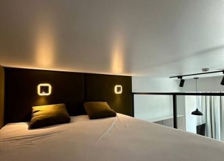 Сдается в аренду квартира студия, 30 м2, Сочи, Дагомысский переулок, 18, микрорайон Ареда