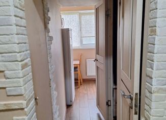 Сдаю в аренду 1-ком. квартиру, 27 м2, Санкт-Петербург, проспект Испытателей, 15к1, Приморский район