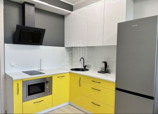 Сдается квартира студия, 27 м2, Санкт-Петербург, Торфяная дорога, 17к2, метро Комендантский проспект