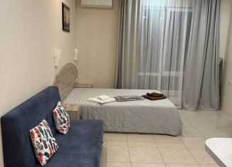 Сдаю квартиру студию, 26 м2, Сириус, переулок Кувшинок