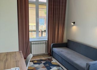 Сдам в аренду квартиру студию, 17 м2, Москва, деревня Лапшинка, 151