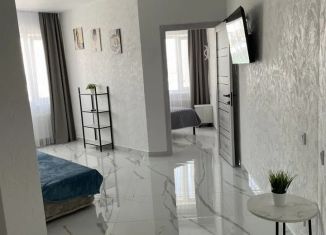 Сдаю в аренду 2-ком. квартиру, 60.5 м2, Краснодарский край, Тираспольский переулок, 1А