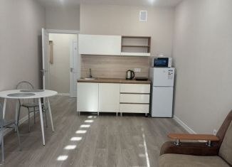 Сдаю квартиру студию, 31 м2, Краснодар, Ярославская улица, 115, микрорайон 9 километр