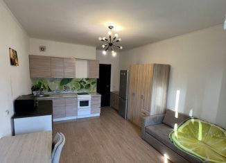 Сдаю в аренду квартиру студию, 27 м2, Санкт-Петербург, Комендантский проспект, метро Комендантский проспект