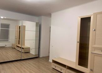 Однокомнатная квартира в аренду, 40 м2, Москва, Волгоградский проспект, 161А, ЮВАО